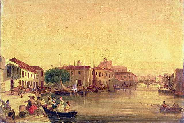 The Journey of Grapefruit: From Barbados to the World