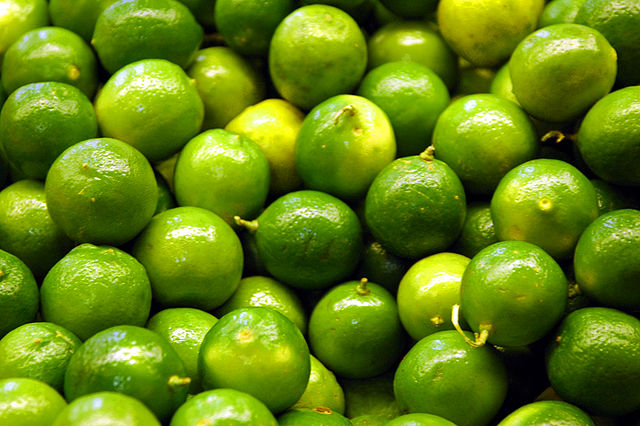 Puliyangudi: The Heart of South India’s Lime Cultivation