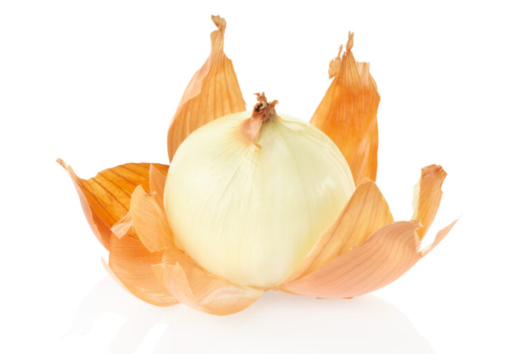 Peeling the Onion: My Lesson in Problem Solving from the Jordan Valley