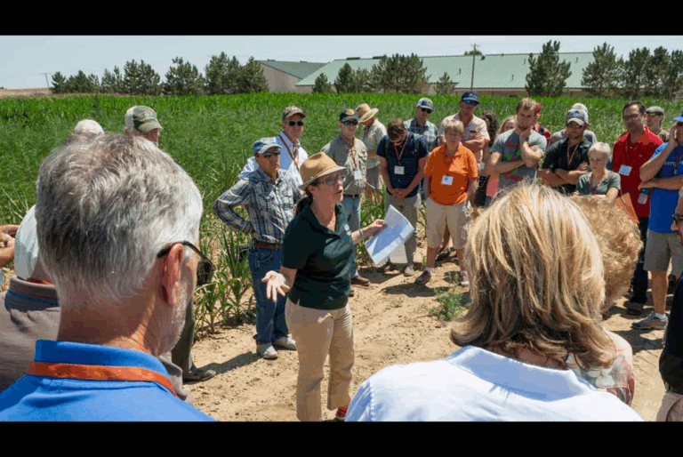 From County Agent to Digital Coach: The Rise, Decline and Renewal of U.S. Extension