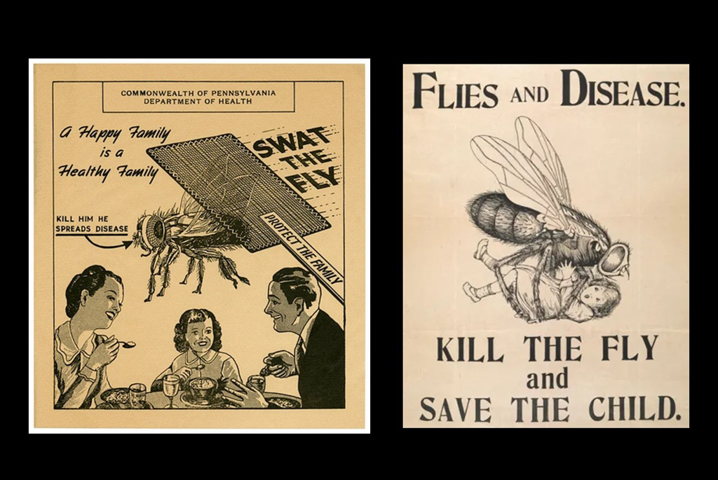 Small Swat, Giant Impact