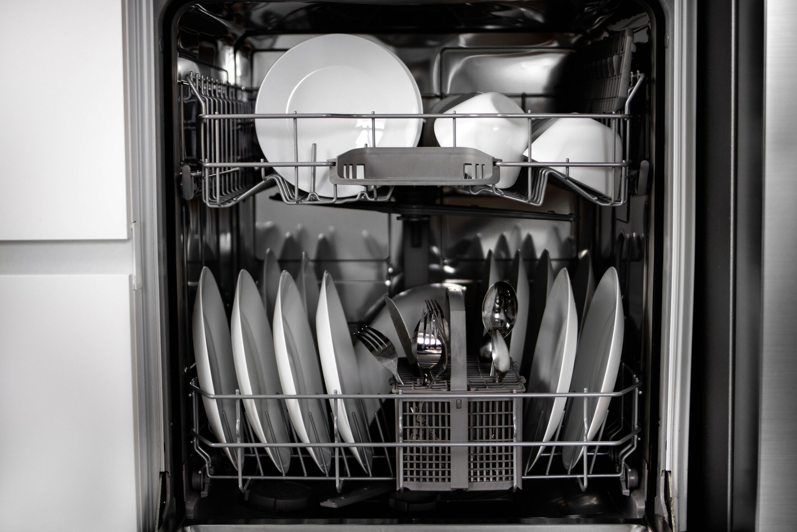 The Day My Dishwasher Smelled Like Eggs